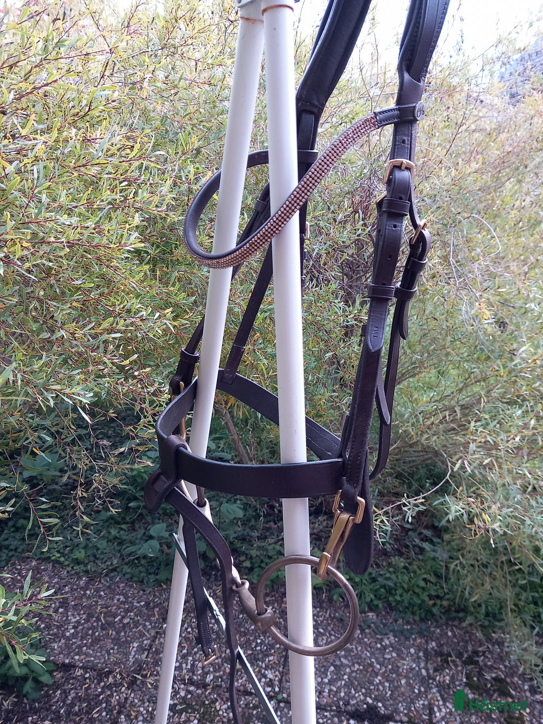 Träns hästutrustning till salu: Brunt träns Full i Uppsala - Annons 1