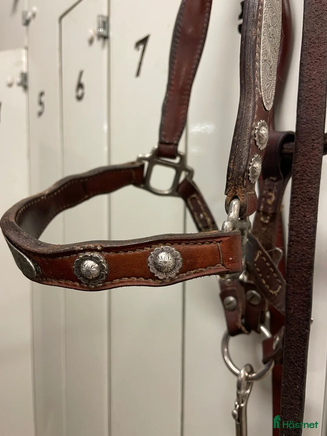 Övrig Hästutrustning hästutrustning till salu: Haltergrimma Showgrimma i Karlstad - Annons 3