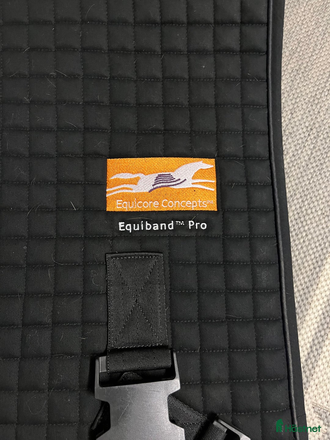 Schabrak & Vojlockar hästutrustning till salu: Equiband Pro i Gråbo - Annons 2