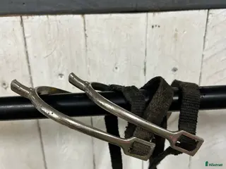 Övrig Hästutrustning hästutrustning Sporrar, delta och gelepad i Trelleborg - Annons 24
