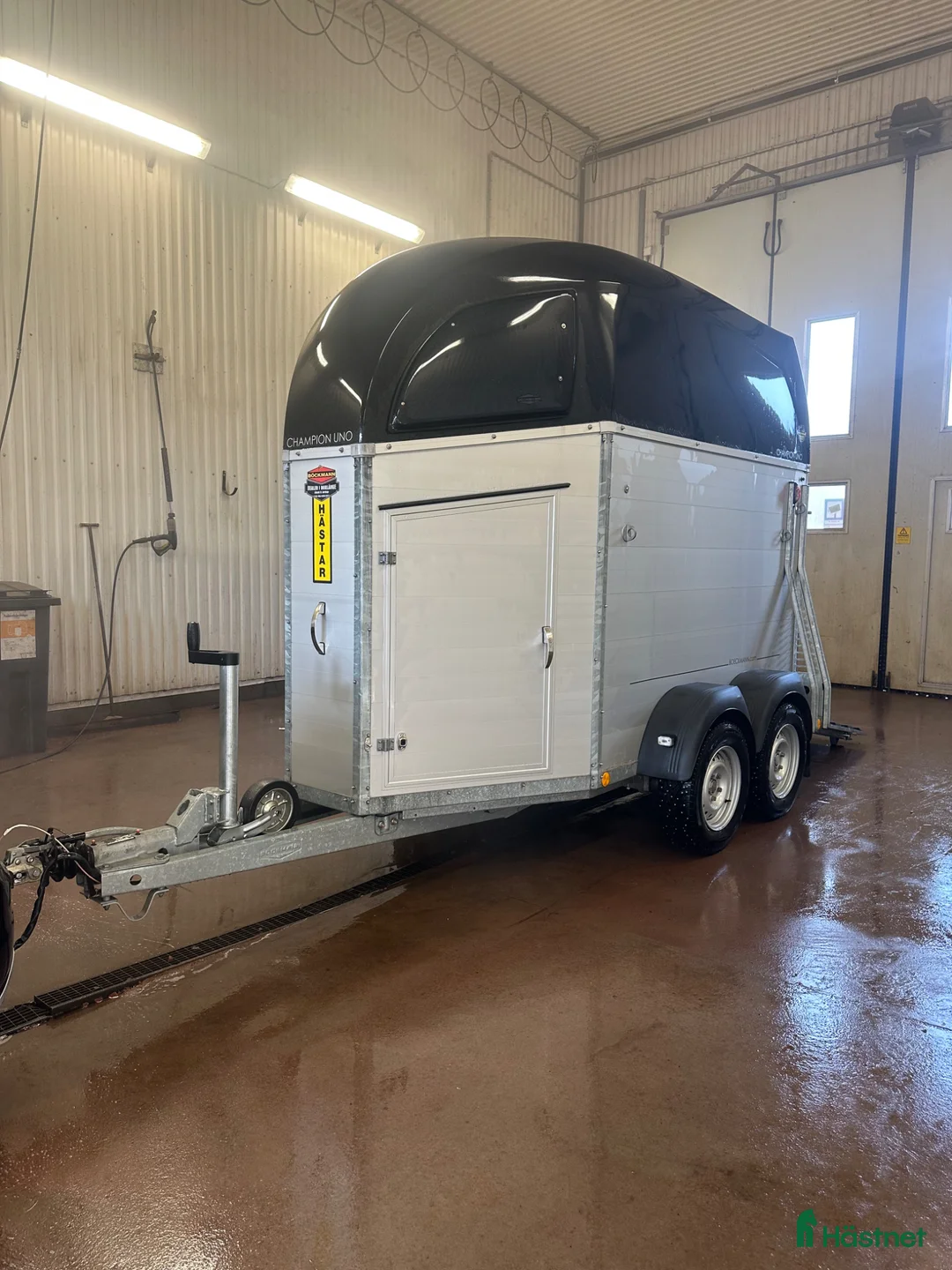 Hästtransporter  fordon & transport till salu: Böckmann Uno Champion 2021 i mycket fint skick - Annons 2