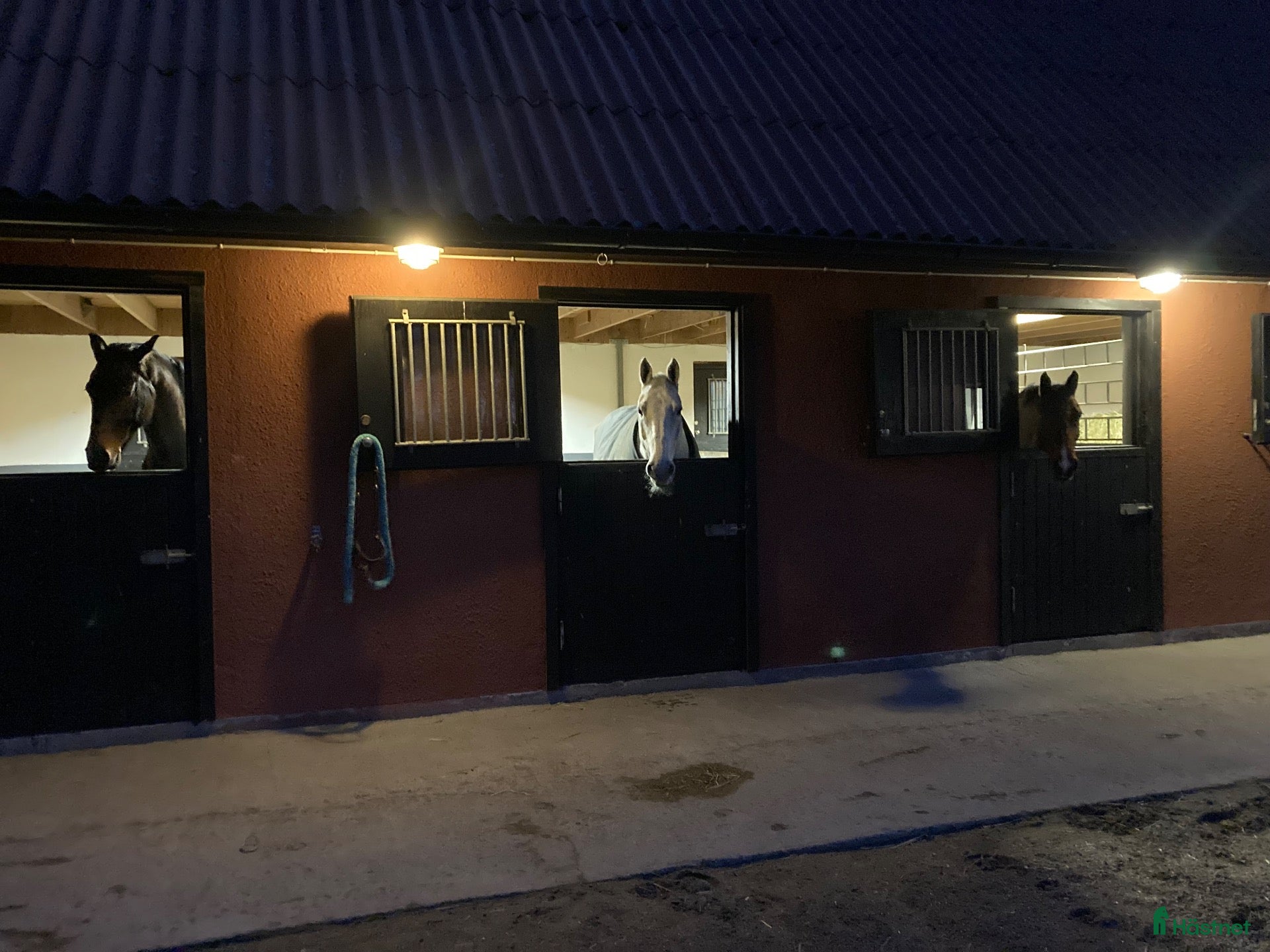  stallplats Stallplatser lediga i Kristianstad - Annons 12