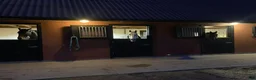  stallplats finnes: Stallplatser lediga i Kristianstad - Annons 1