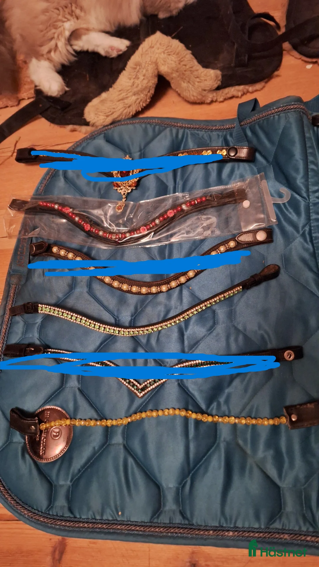 Träns hästutrustning till salu: Pannband st. Full i Njurunda - Annons 2