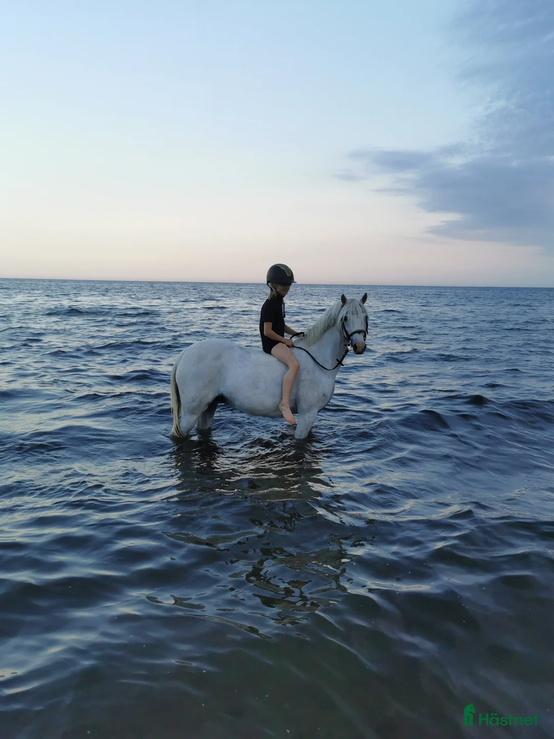 Galleribild {{count}}