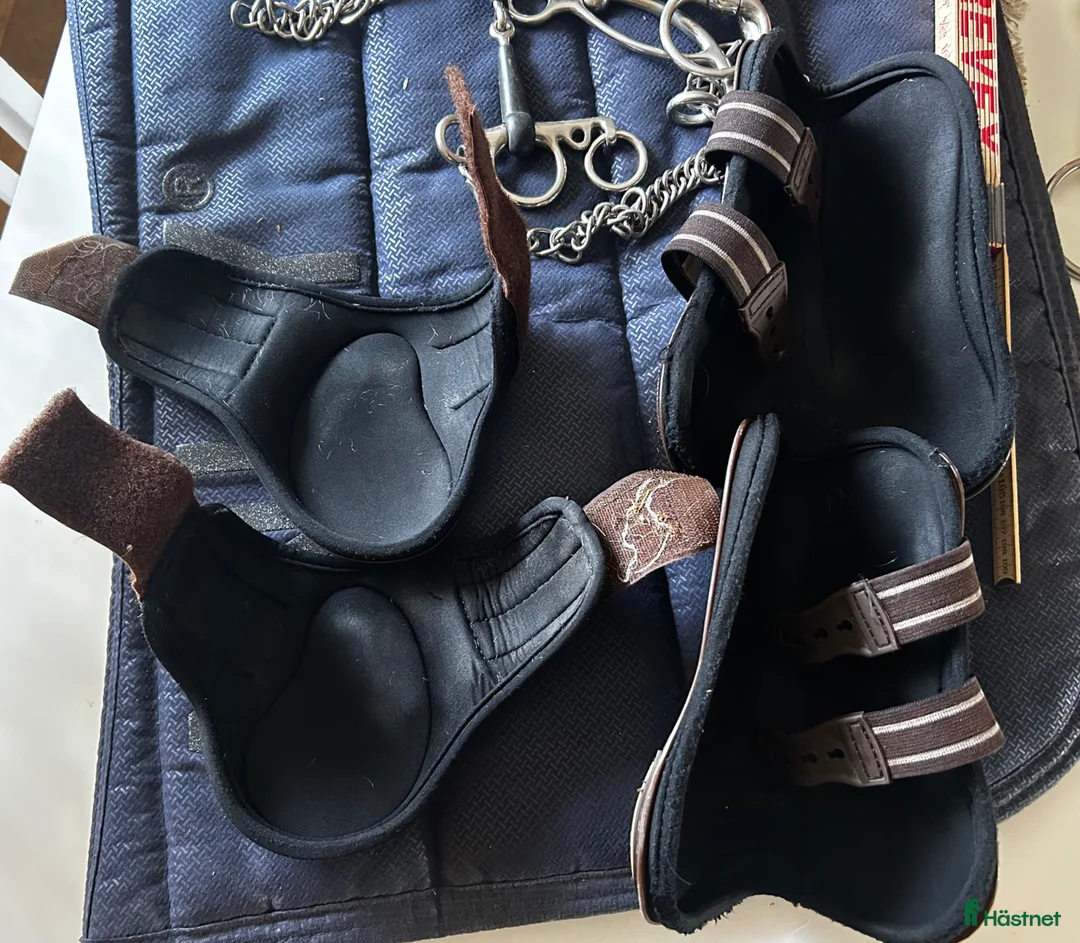 Benskydd hästutrustning till salu: Lami cell PRO strl M - Annons 2