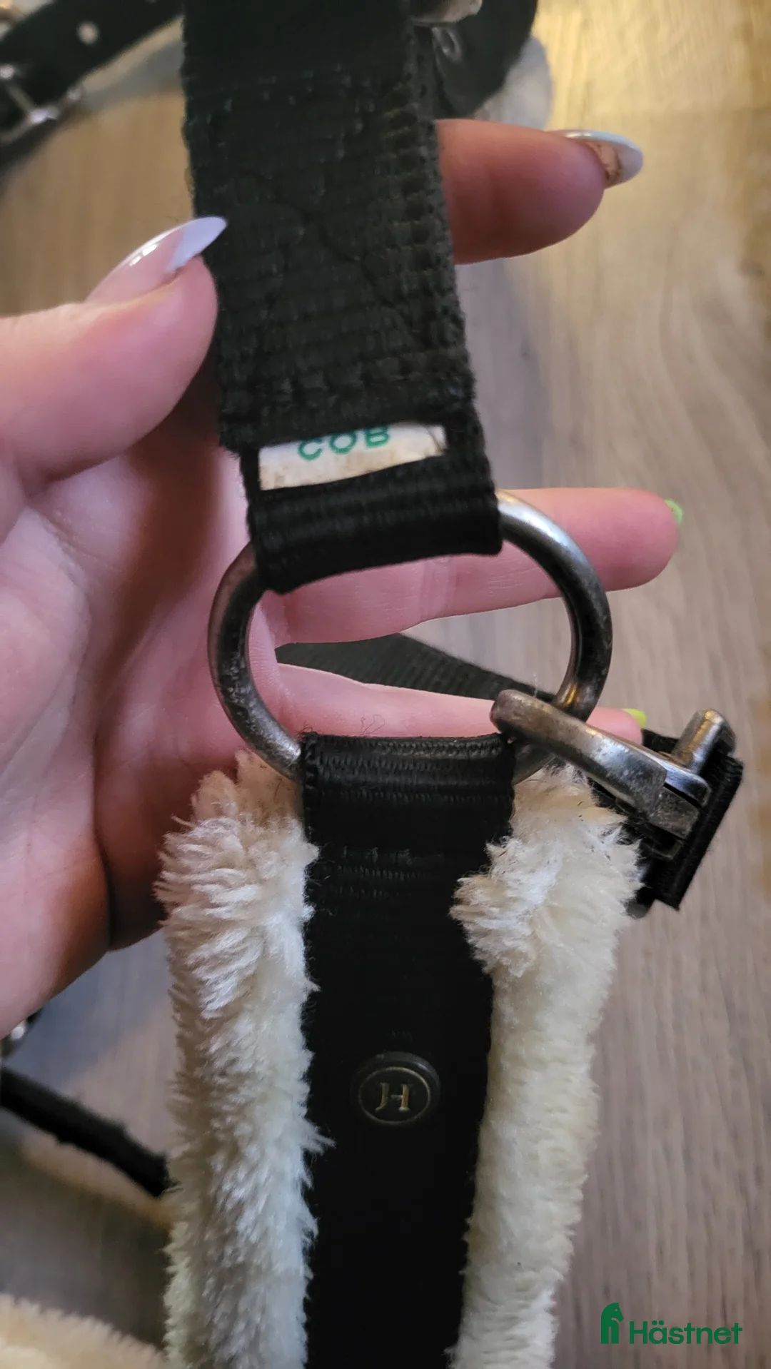 Övrig Hästutrustning hästutrustning till salu: JH Collection grimma + kedjegrimskaft - Annons 2