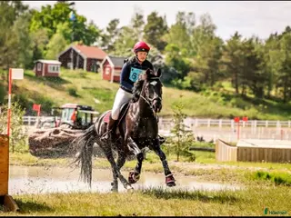 hästar Fantastisk Fältävlansponny🌟 i Vetlanda - Annons 6