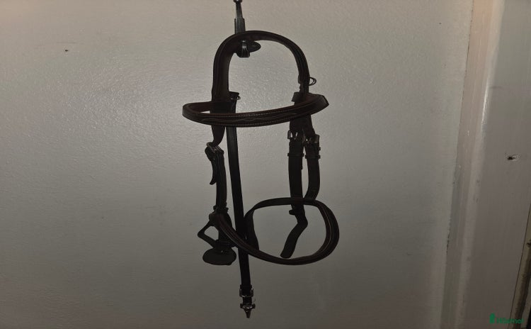 Träns hästutrustning till salu i Vintrosa - Annons 7