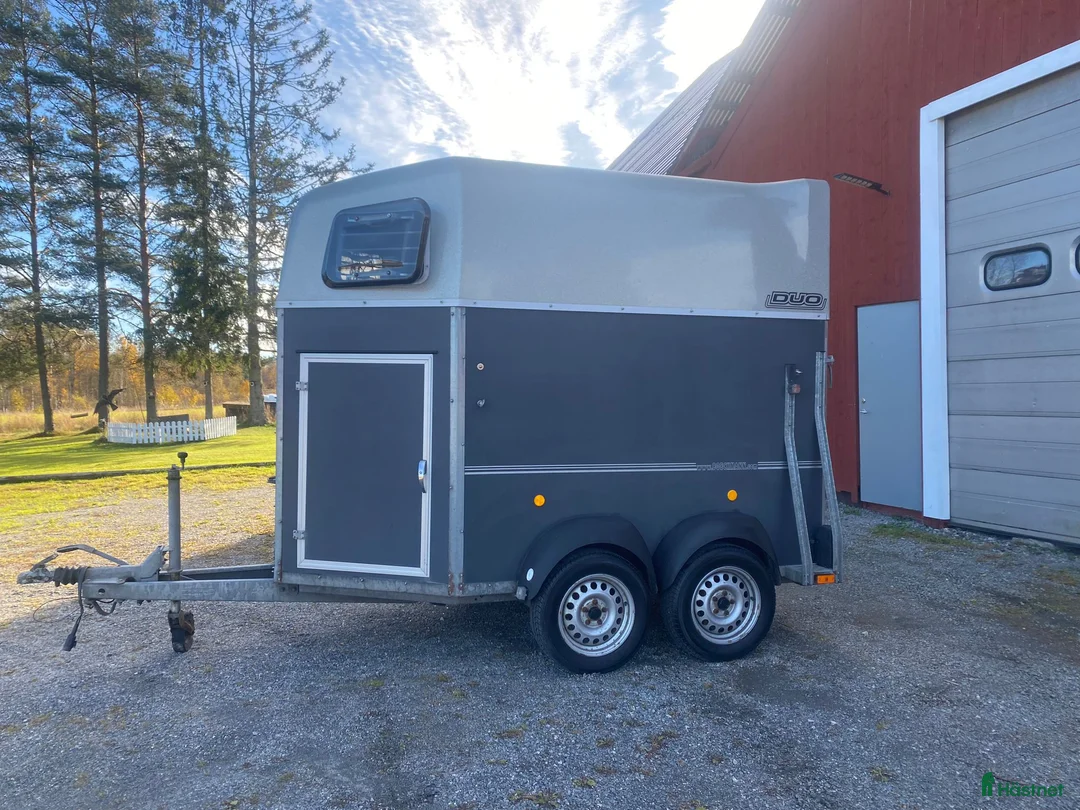 Hästtransporter  fordon & transport till salu: Böckmann Duo Hästtransport - Annons 1