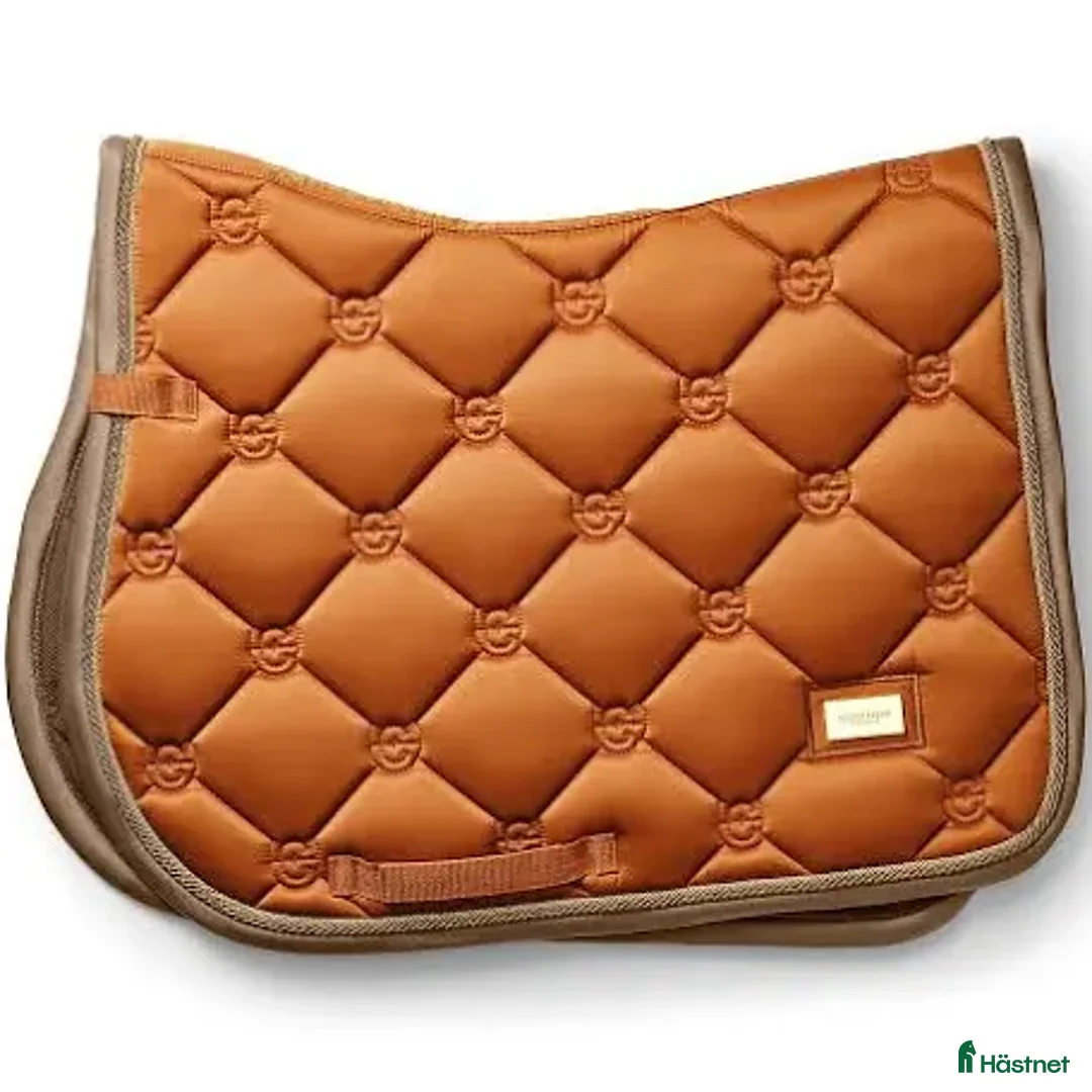 Schabrak & Vojlockar hästutrustning till salu: Orange equestrian Stockholm schabrak i Åkarp - Annons 1