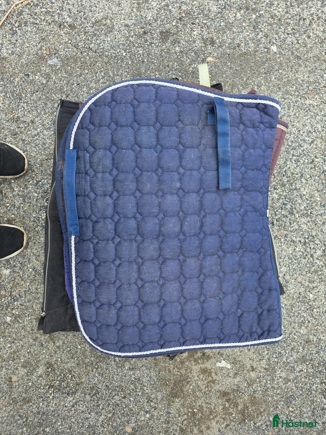 Schabrak & Vojlockar hästutrustning till salu: Begagnade Schabrak säljes - Annons 2