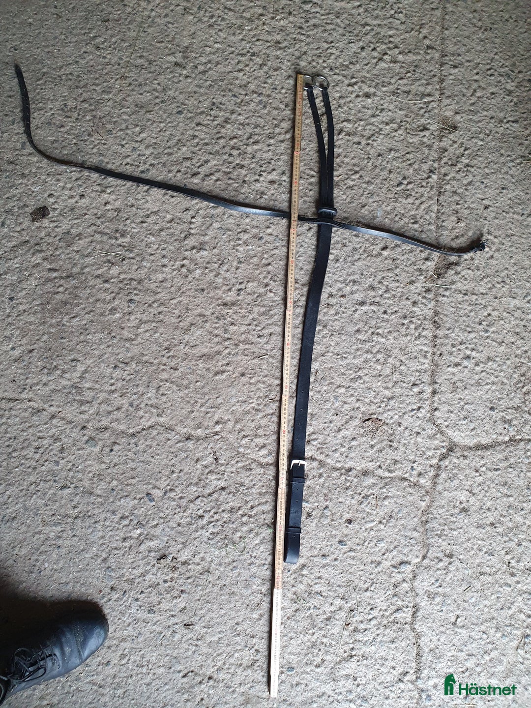 Övrig Hästutrustning hästutrustning till salu: Martingal i Näsåker - Annons 4