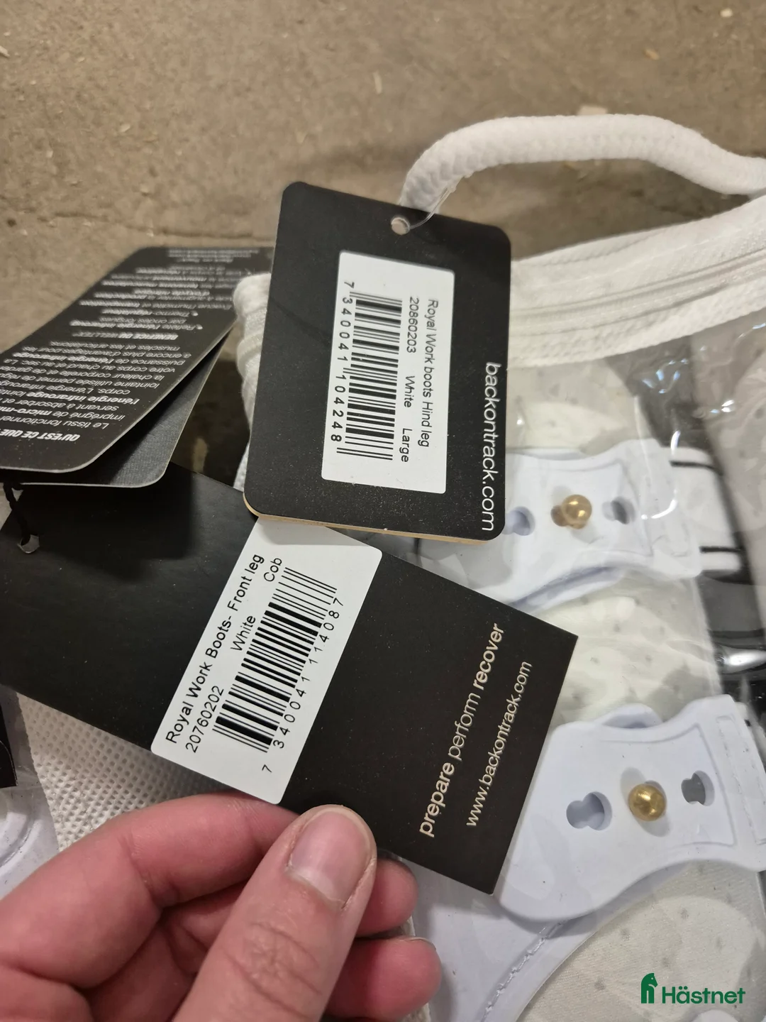 Benskydd hästutrustning till salu: Back On Track Royal benskydd  - Annons 2