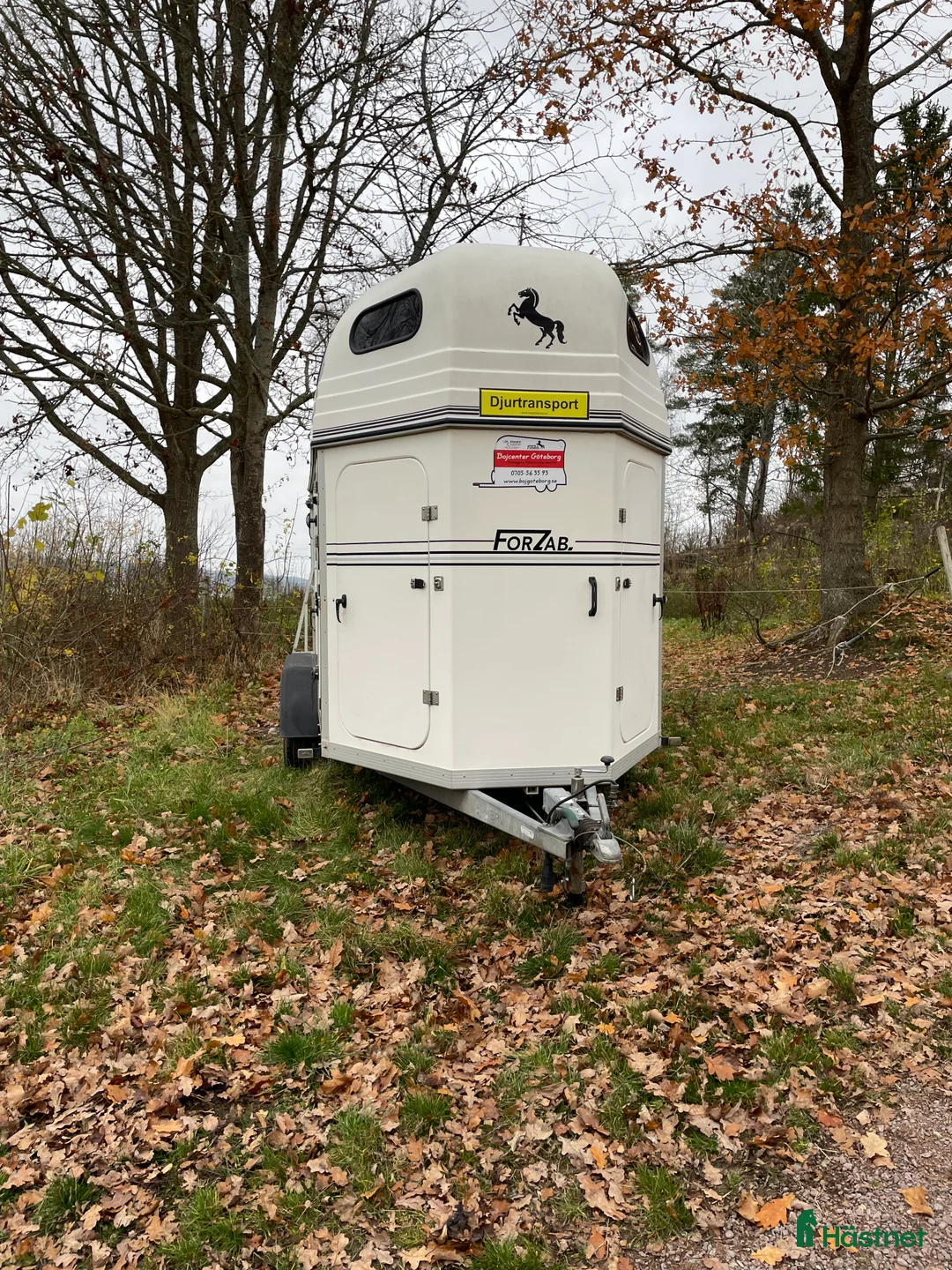 Hästtransporter  fordon & transport till salu: Cavallo Seh 20    2015 - Annons 2