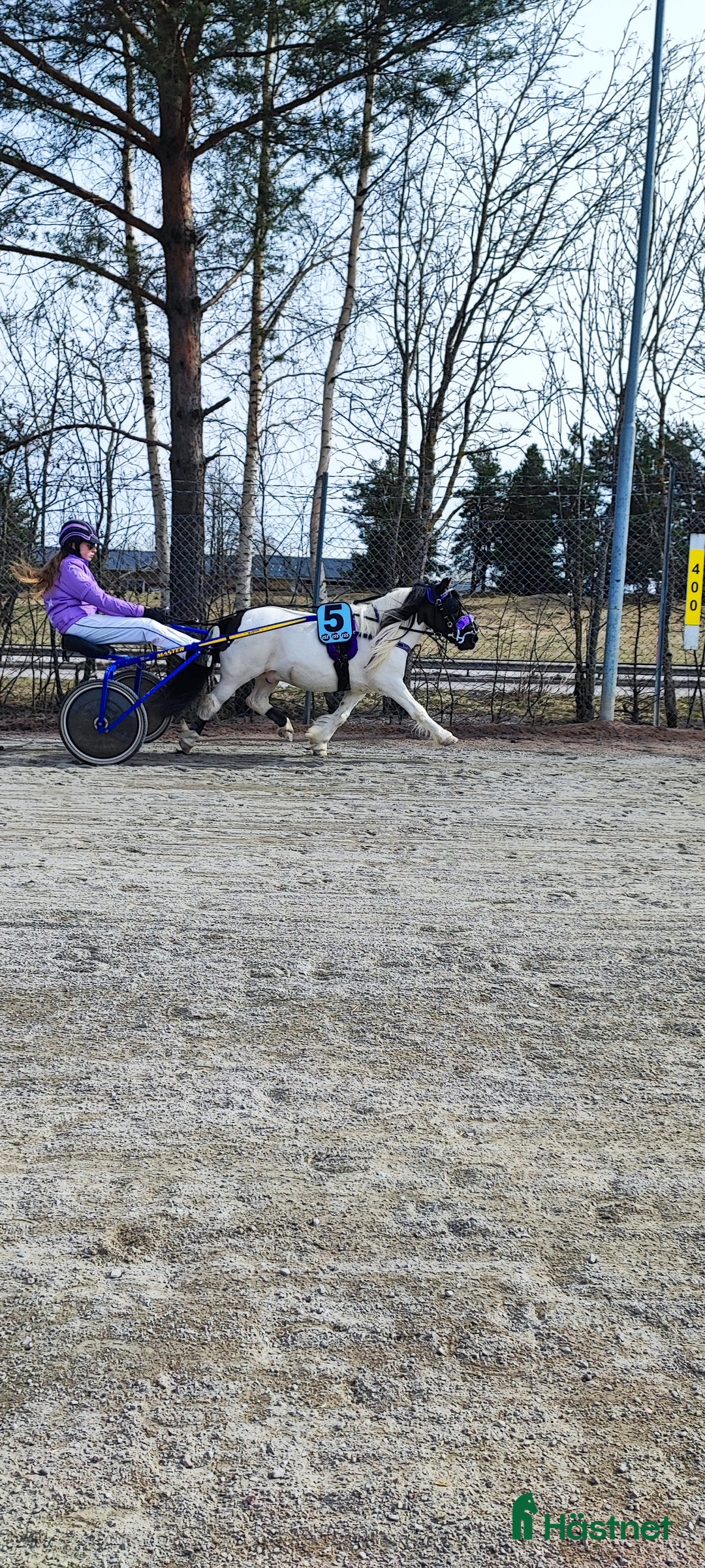 Trav hästar till salu: Fin ponnytravare som syns i mängden  i Falun - Annons 2