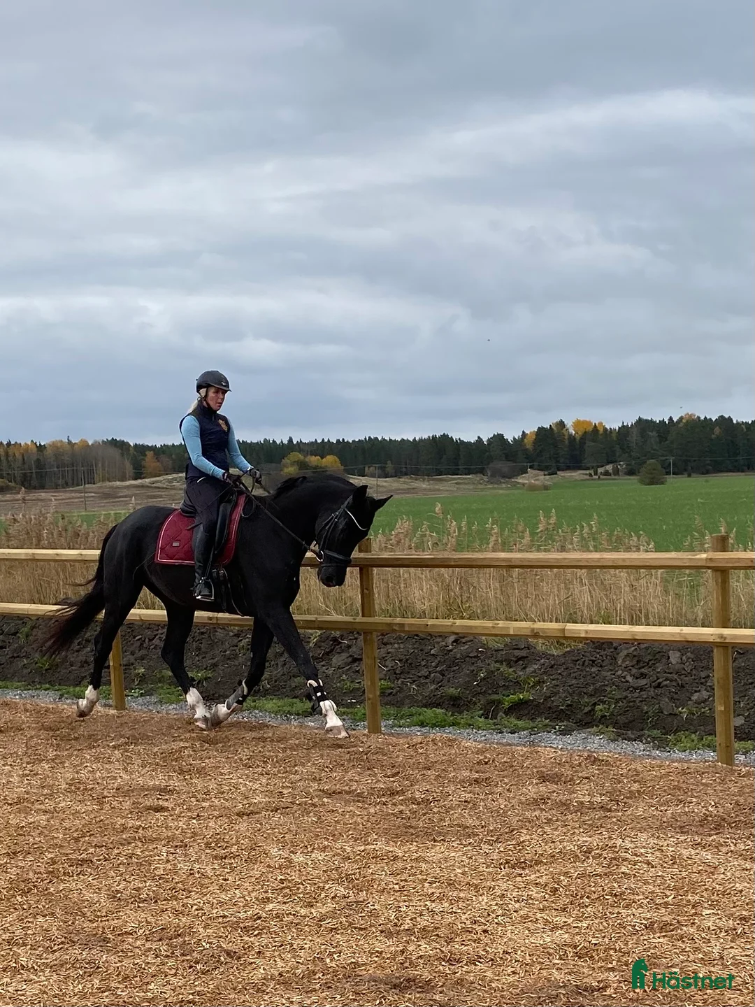  hästservice finnes: Konvalescensstall i Enköping - Annons 4