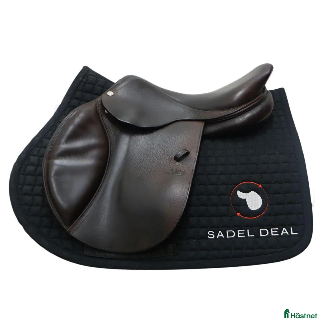 Sadlar hästutrustning till salu: Väldigt fin CWD Classic sadel, 17" - Annons 1