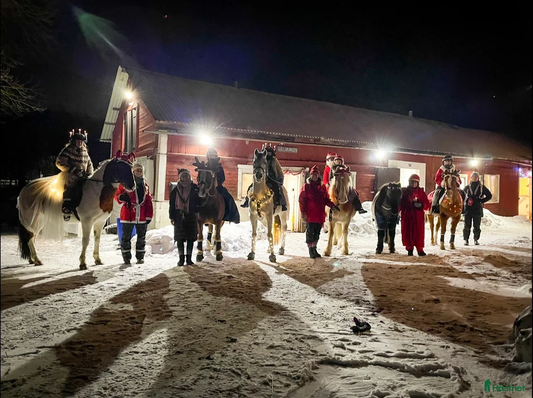  stallplats finnes: Ledig stallplats i Huddinge  i Huddinge - Annons 1