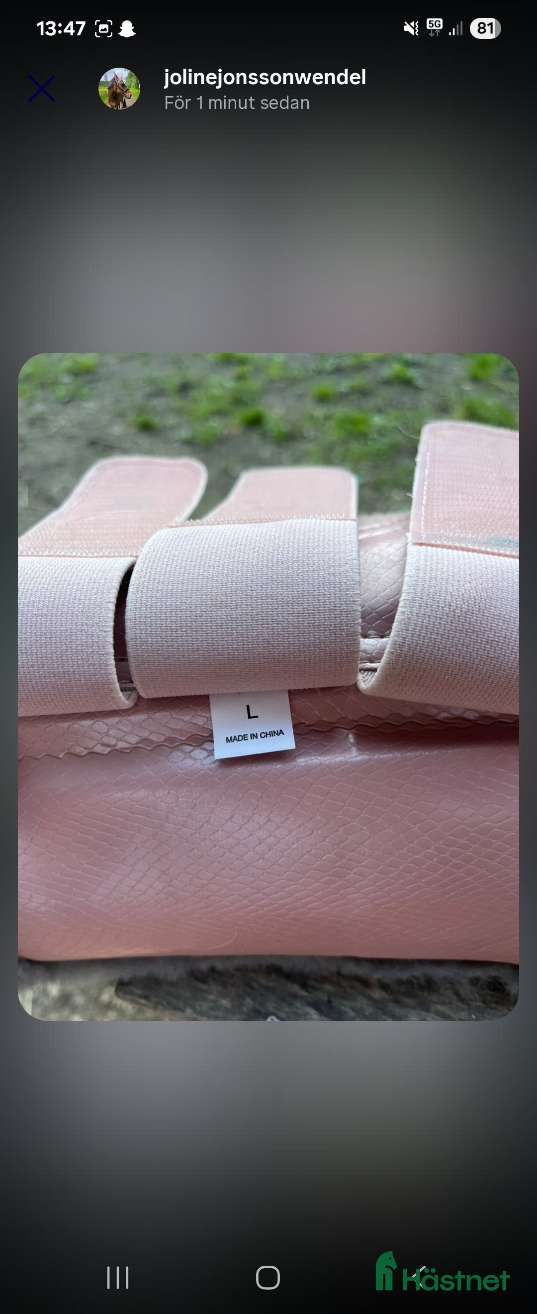 Benskydd hästutrustning till salu: Set från ES (equestrian stockholm) i Sunne - Annons 4