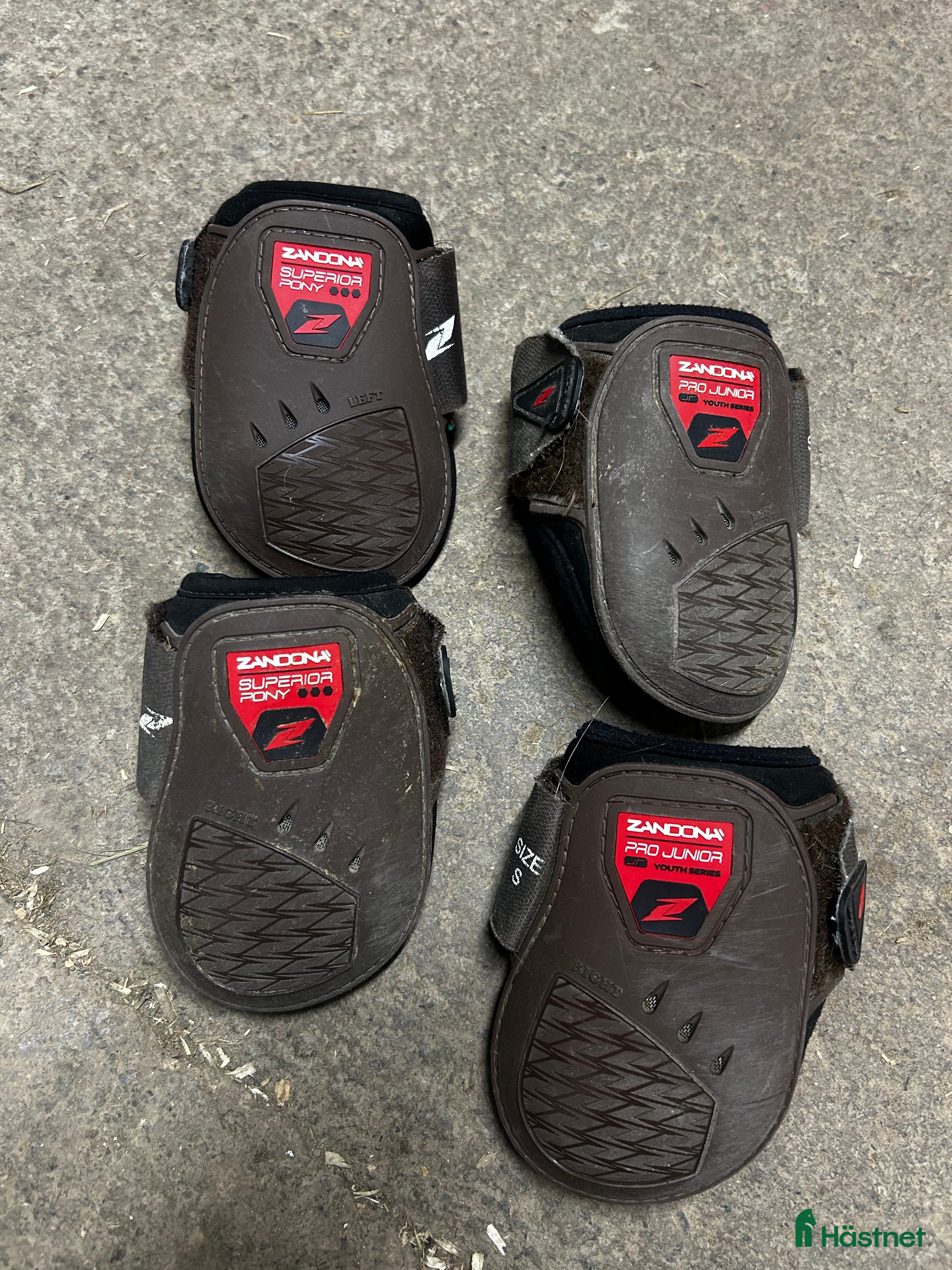 Benskydd hästutrustning till salu: Zandona bakskydd  i Töreboda - Annons 1