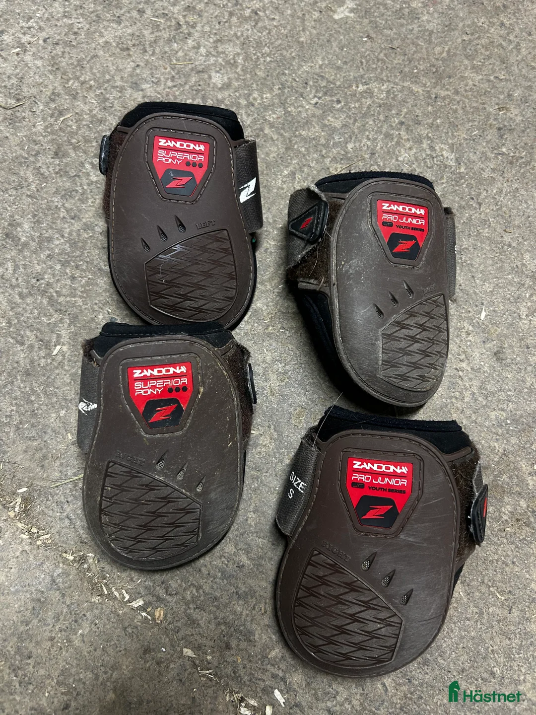 Benskydd hästutrustning till salu: Zandona bakskydd  i Töreboda - Annons 1