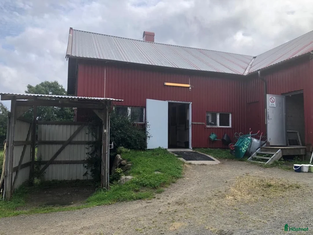  stallplats finnes: Boxplats - Annons 2