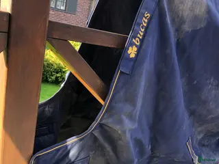 Täcken hästutrustning Täcke 145cm Bucas i Göteborg - Annons 14