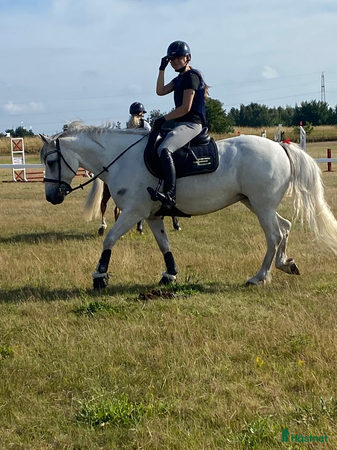 Allround hästar till salu: Dressyrponny i Lövestad - Annons 2