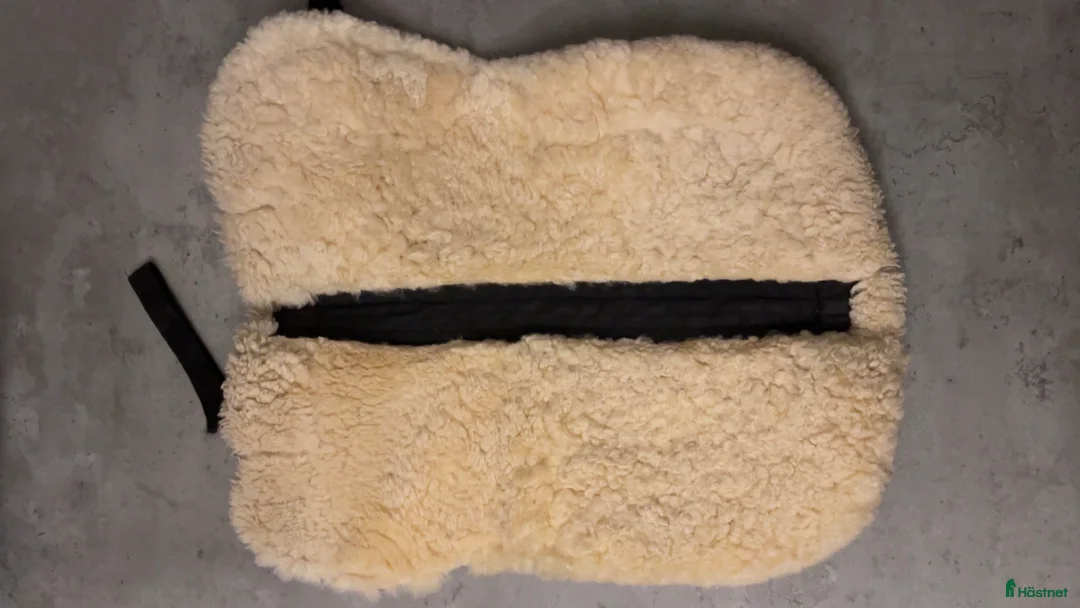 Täcken hästutrustning till salu: Stort parti hästsaker och 2 hjälmar i Borås - Annons 6