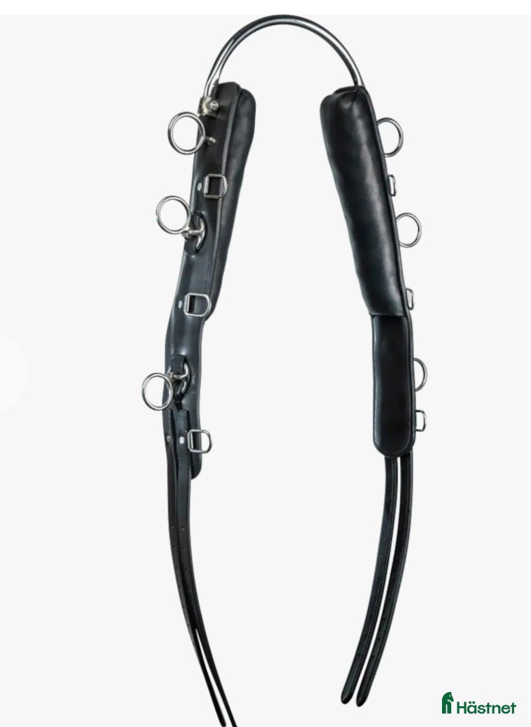 Övrig Hästutrustning hästutrustning till salu: Söker tömkörningsgjord  i Veddige - Annons 1