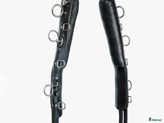 Övrig Hästutrustning hästutrustning till salu: Söker tömkörningsgjord i Veddige - Annons 22