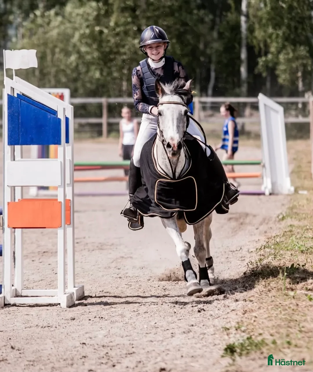 Allround hästar till salu: Pigg och fin D-ponny i Matfors - Annons 2