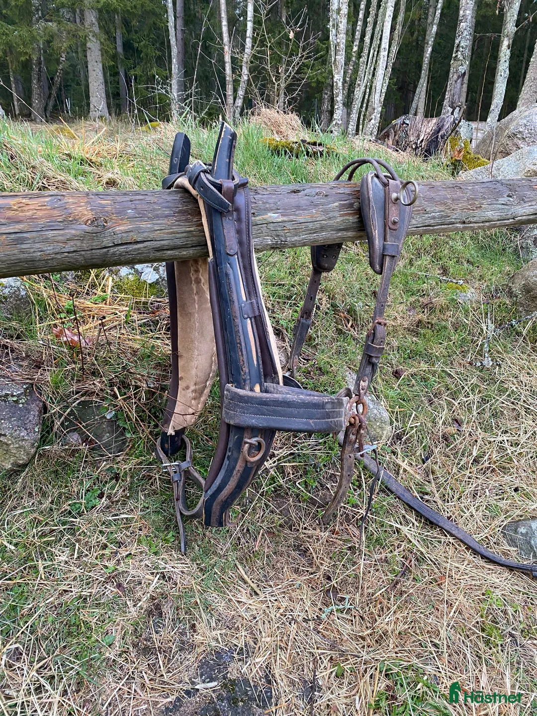 Körselar körning till salu: Arbetssele - Annons 2