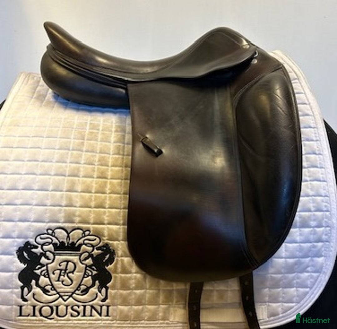 Sadlar hästutrustning till salu: Amerigo CC i Uppsala - Annons 1