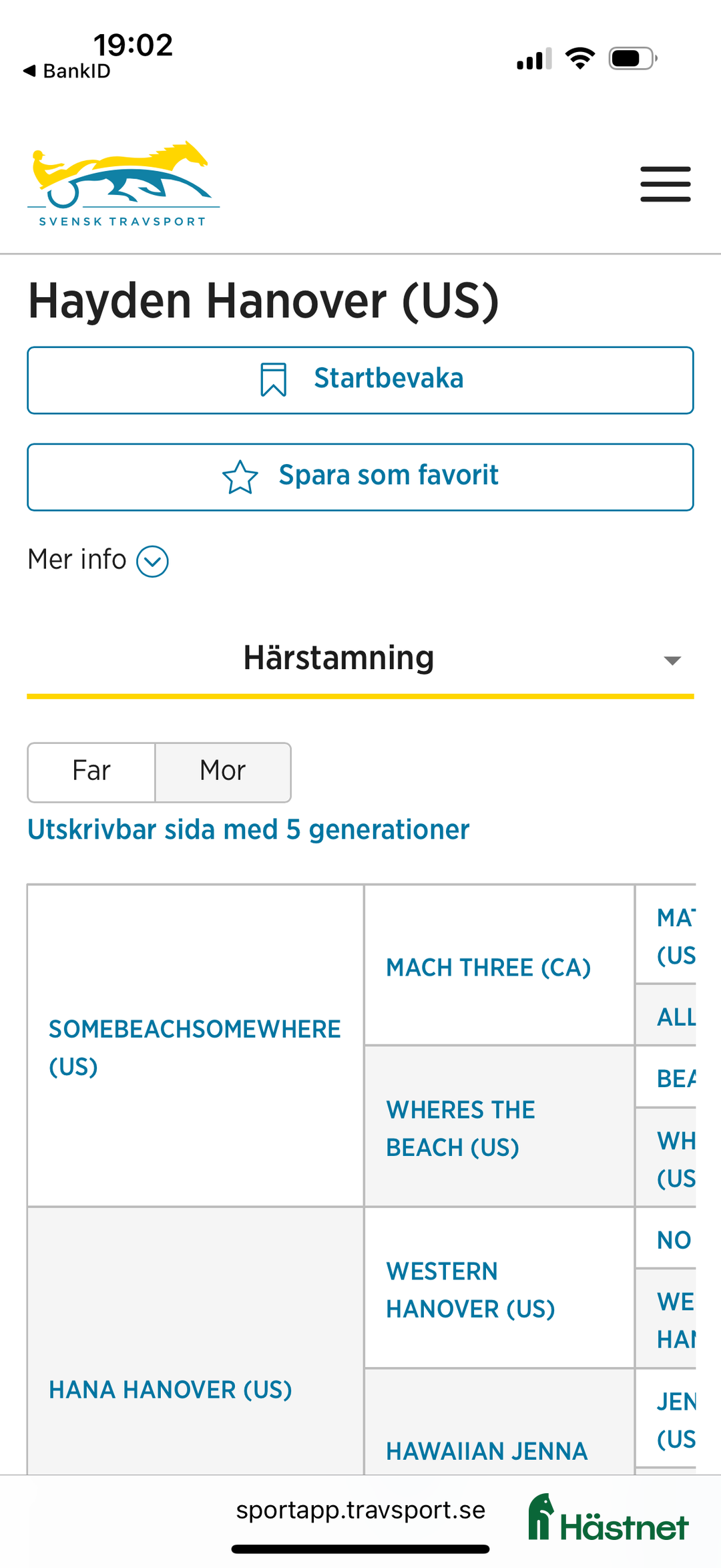 Trav hästar till salu: Välhanterat årsföl e Hayden Hanover i Tystberga - Annons 13