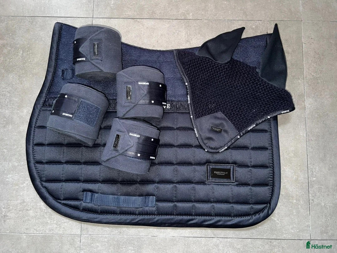Schabrak & Vojlockar hästutrustning till salu: Equestrian Stockholm set - Annons 1