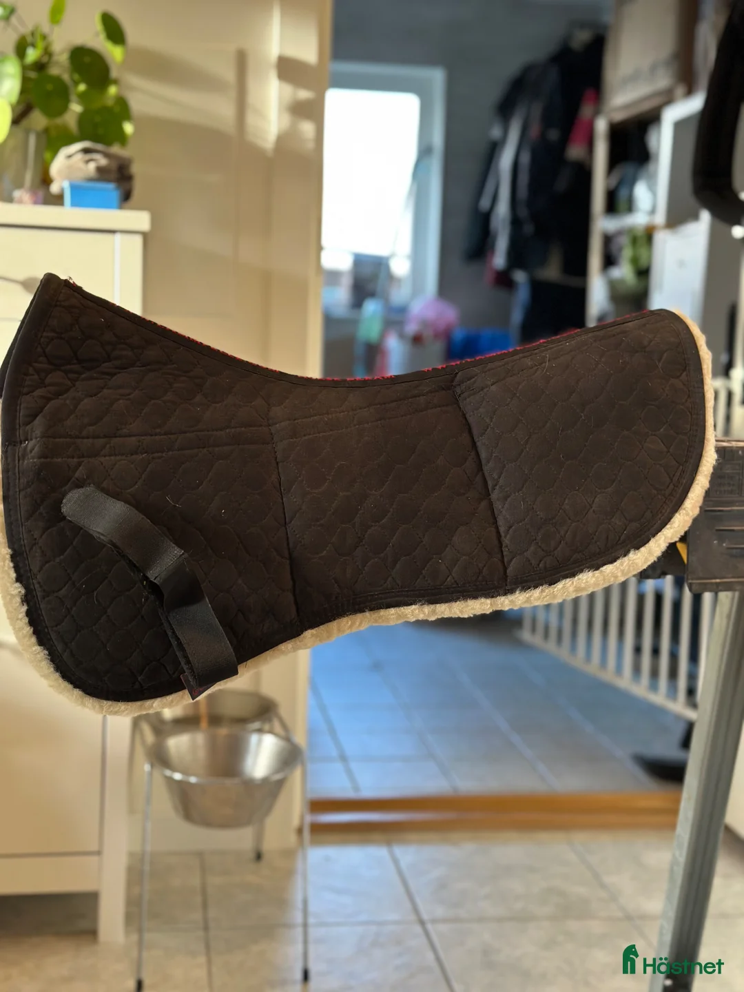 Schabrak & Vojlockar hästutrustning till salu: Korrigerings pad - Annons 1