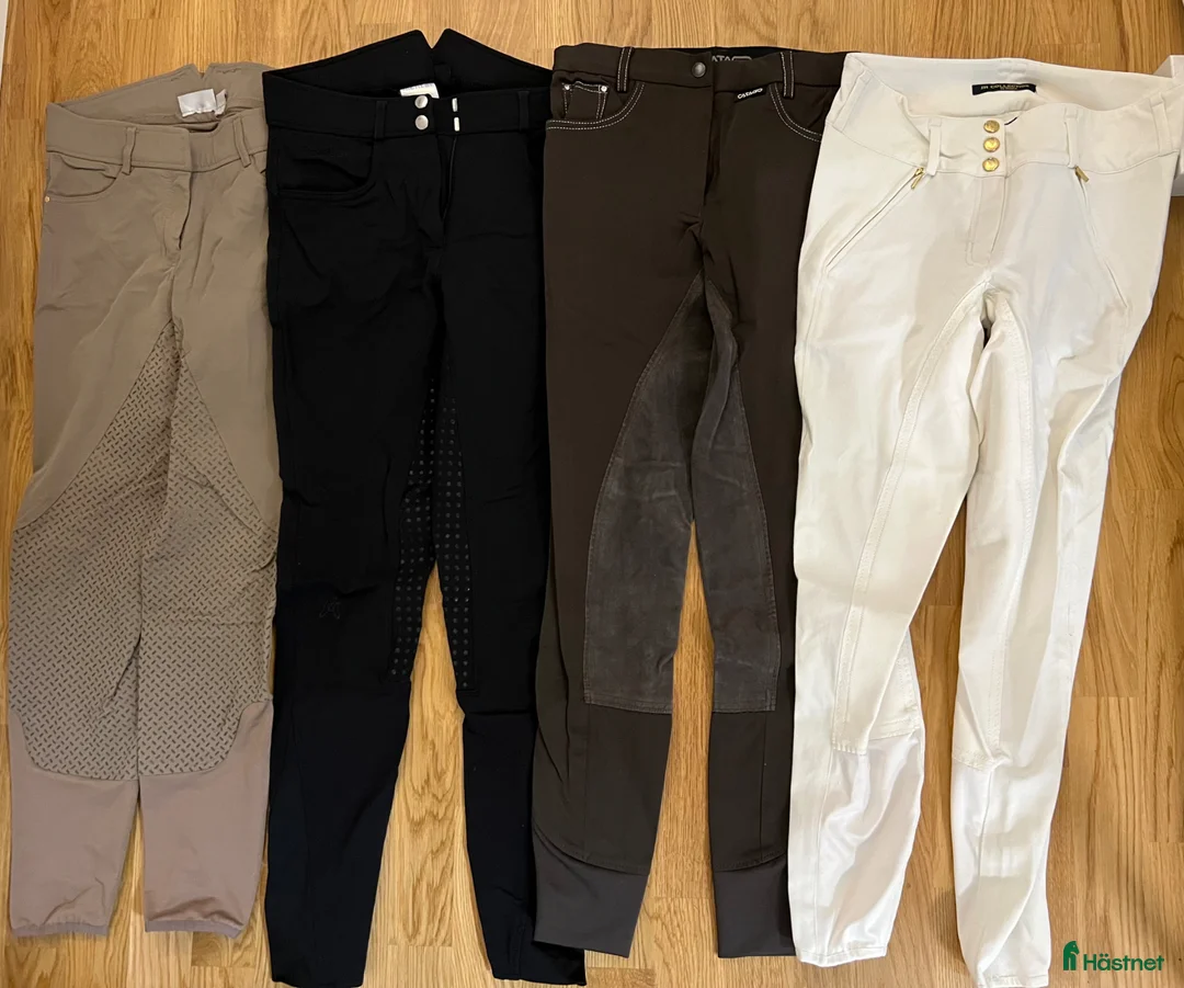 Ridbyxor ryttarutrustning till salu: Ridbyxor strl. 38 - Annons 2