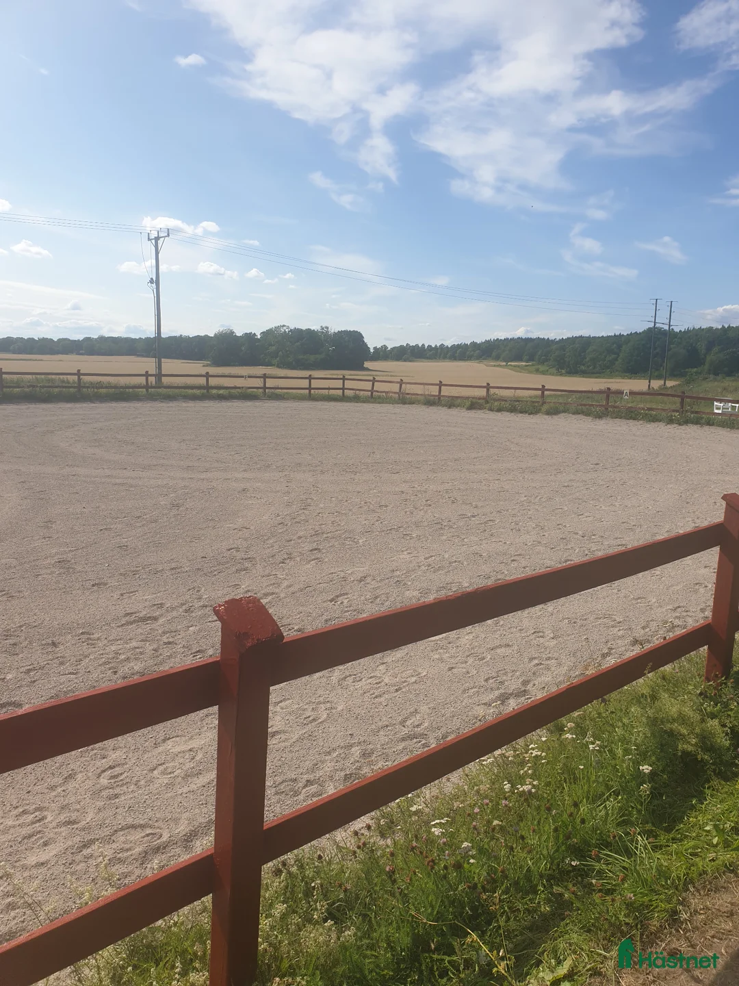  stallplats finnes: Ledig stallplats Stall Krusenberg  - Annons 2