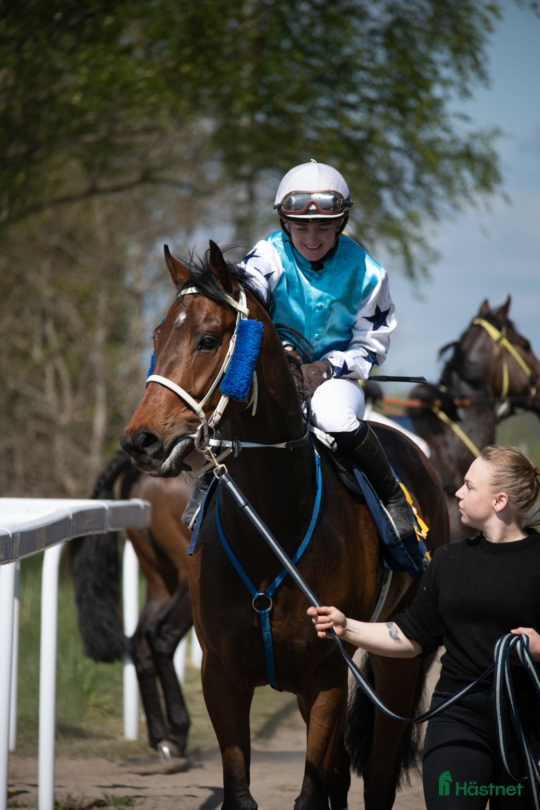 Övrigt hästar till salu: Till Dig med kunskap och tid! i Bälinge - Annons 5