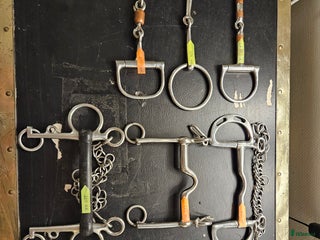 Bett hästutrustning till salu: Bett 12, 5 cm I gott skick! i Svärtinge - Annons 9