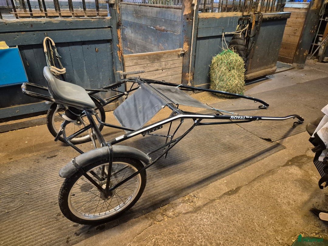 Travvagnar trav till salu: Royal speedcart (långsamvagn)  i Hallstavik - Annons 1