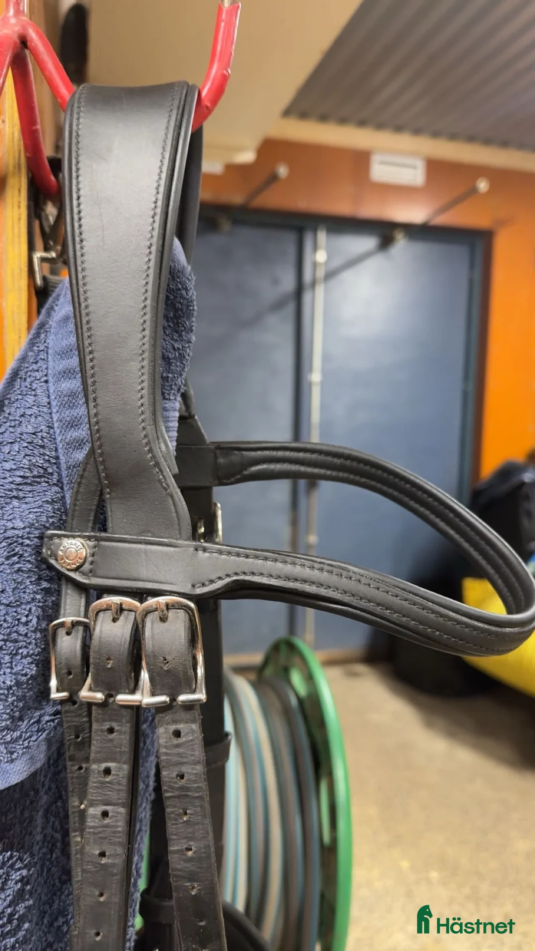 Träns hästutrustning till salu: Svart Antares origin träns storlek full i Boden - Annons 6