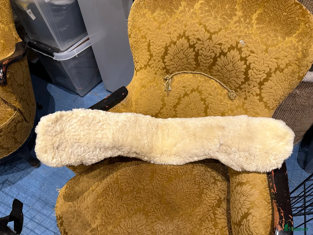 Sadeltillbehör hästutrustning till salu: Dressyrgjord fårskinn i Skillingaryd - Annons 2