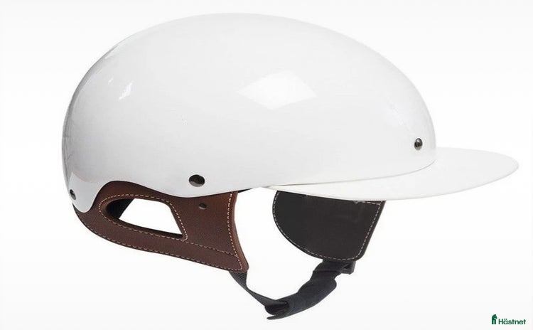 Övrig Travutrustning trav till salu i Skara - Annons 17