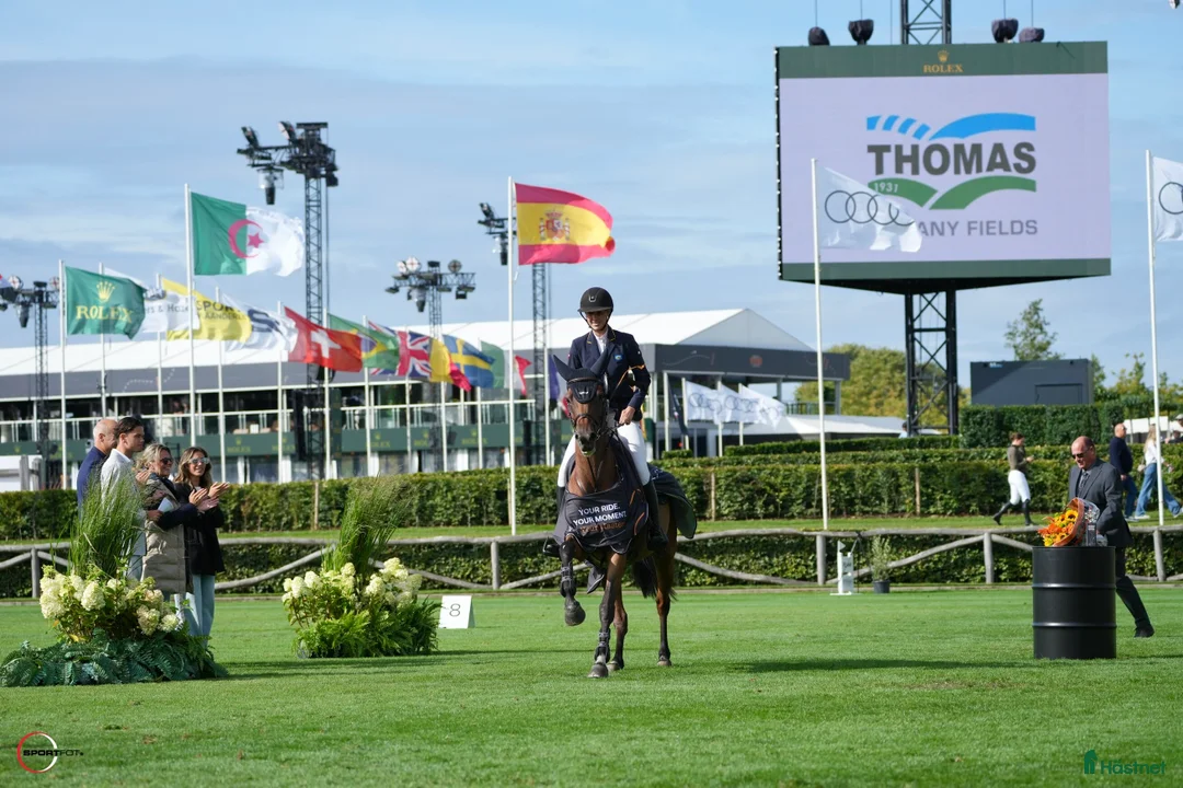 Hoppning hästar till salu: 8 åring för satsande ryttare i Ekerö - Annons 2