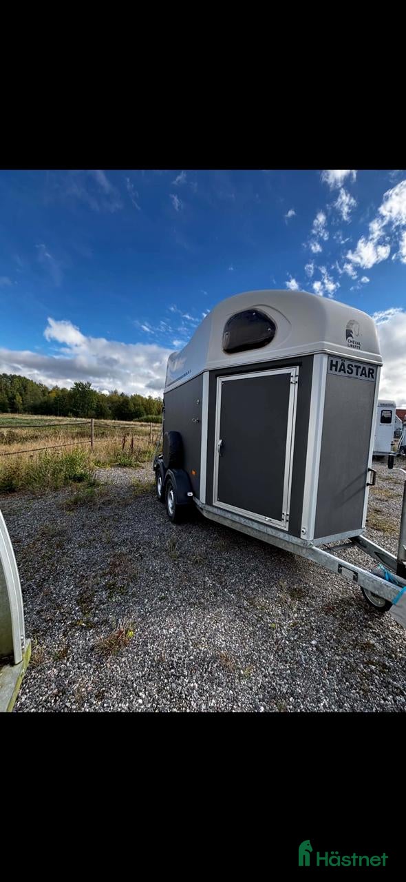 Hästtransporter  fordon & transport till salu: Cheval Gold first-2020 - Annons 11