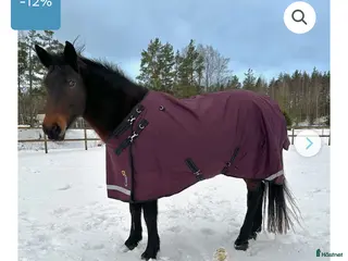 Täcken hästutrustning Equoiq i Tingsryd - Annons 2