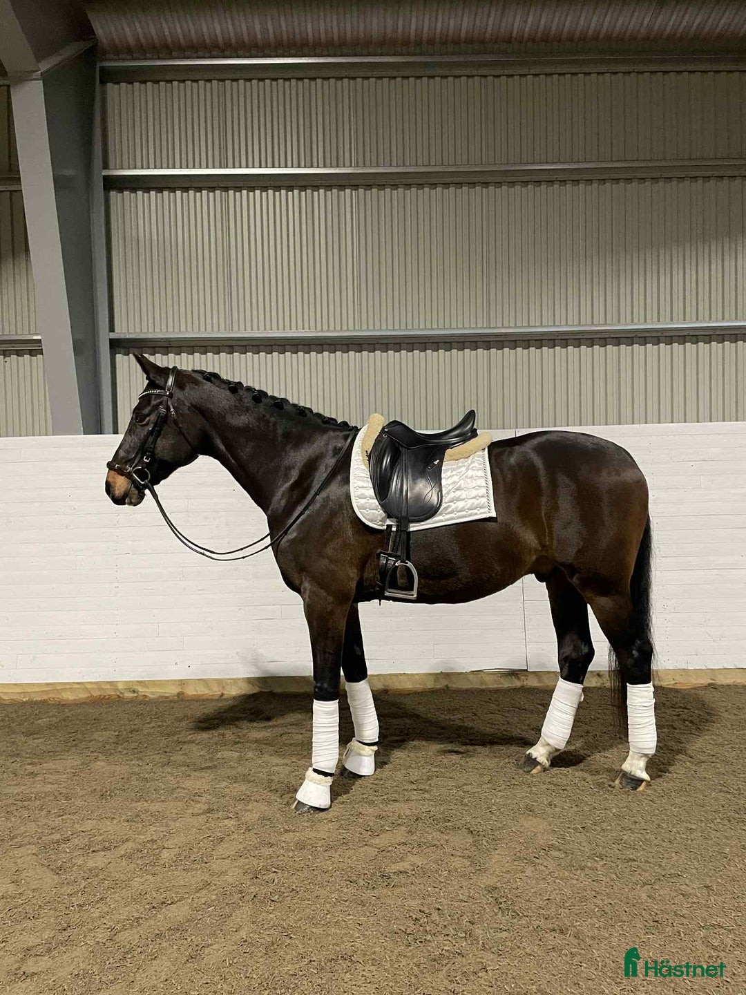 Dressyr hästar till salu: En bästa vän med utstrålning i Vittinge - Annons 2